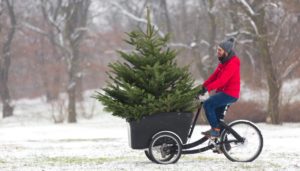 Lastendreirad Dreirad für Erwachsene mit Weihnachtsbaum