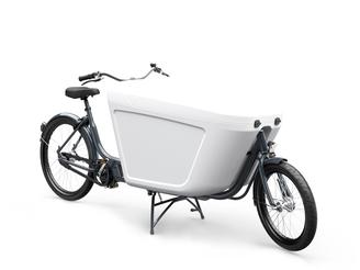 Babboe Pro Bike